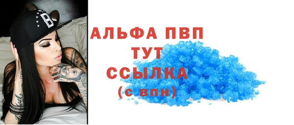 spice Богородск