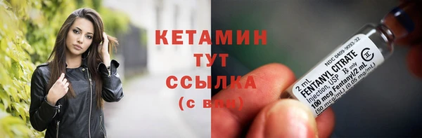 spice Богородск