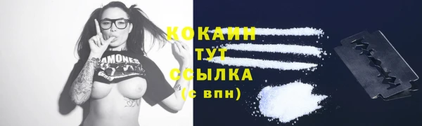 дурь Богородицк