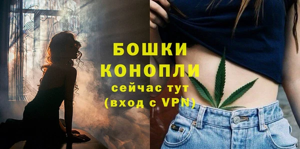 spice Богородск